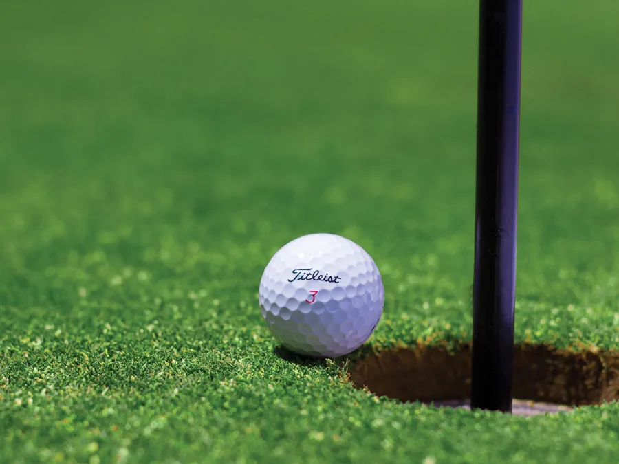 Backyard Putting Greens: What They Cost and What They Actually Need