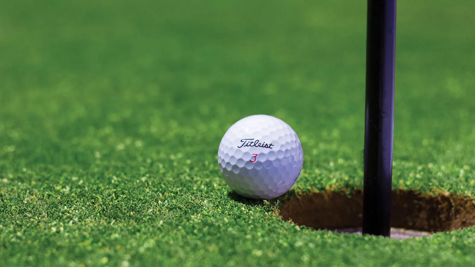 Backyard Putting Greens: What They Cost and What They Actually Need
