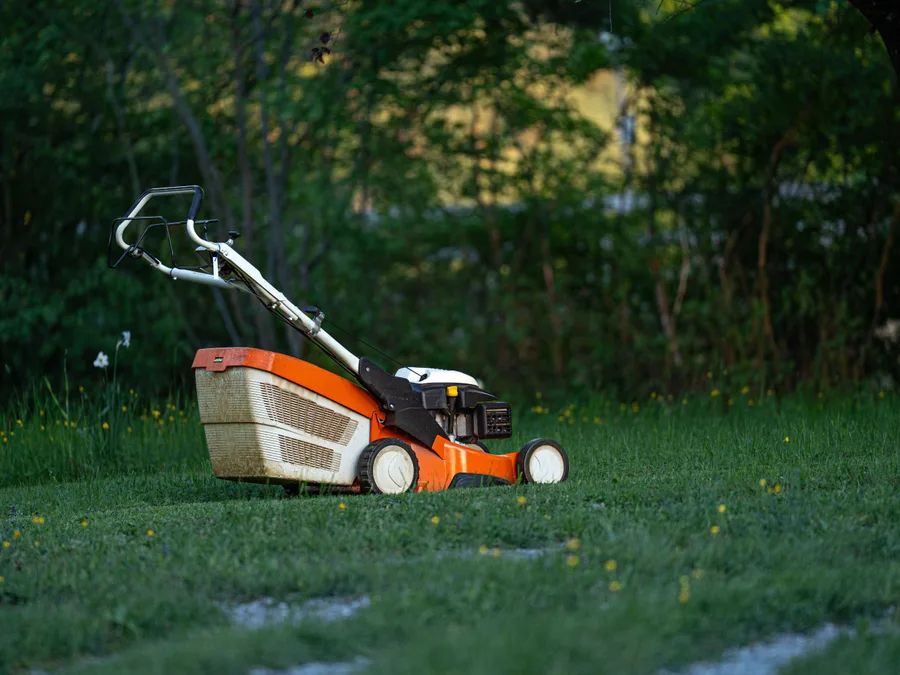 Artificial Turf vs. Natural Grass in Georgia: An Honest Comparison