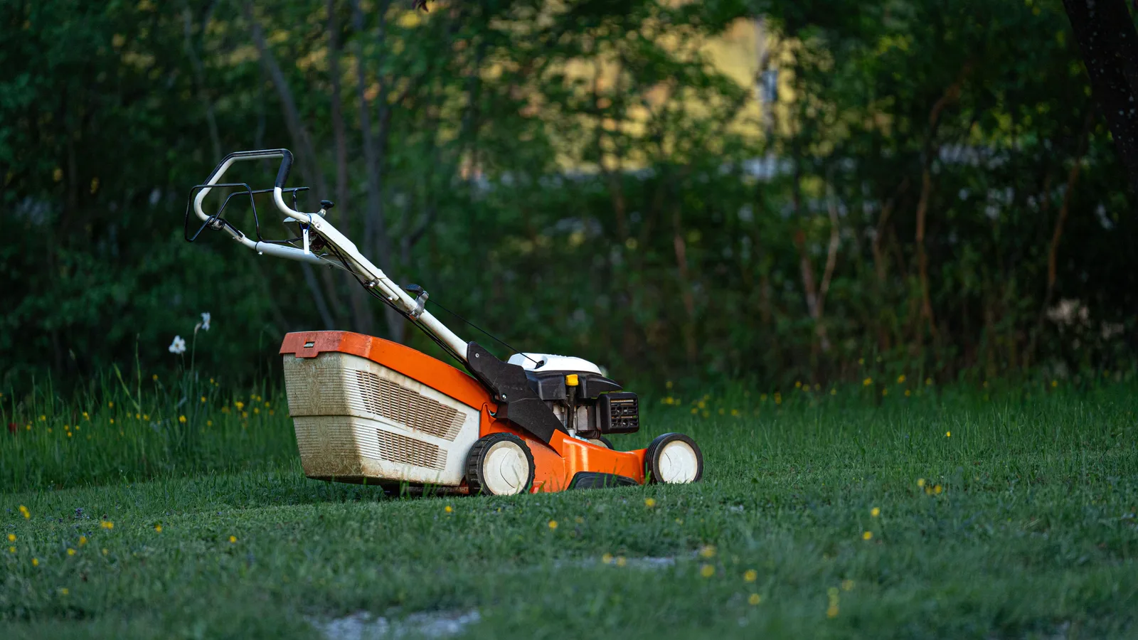 Artificial Turf vs. Natural Grass in Georgia: An Honest Comparison